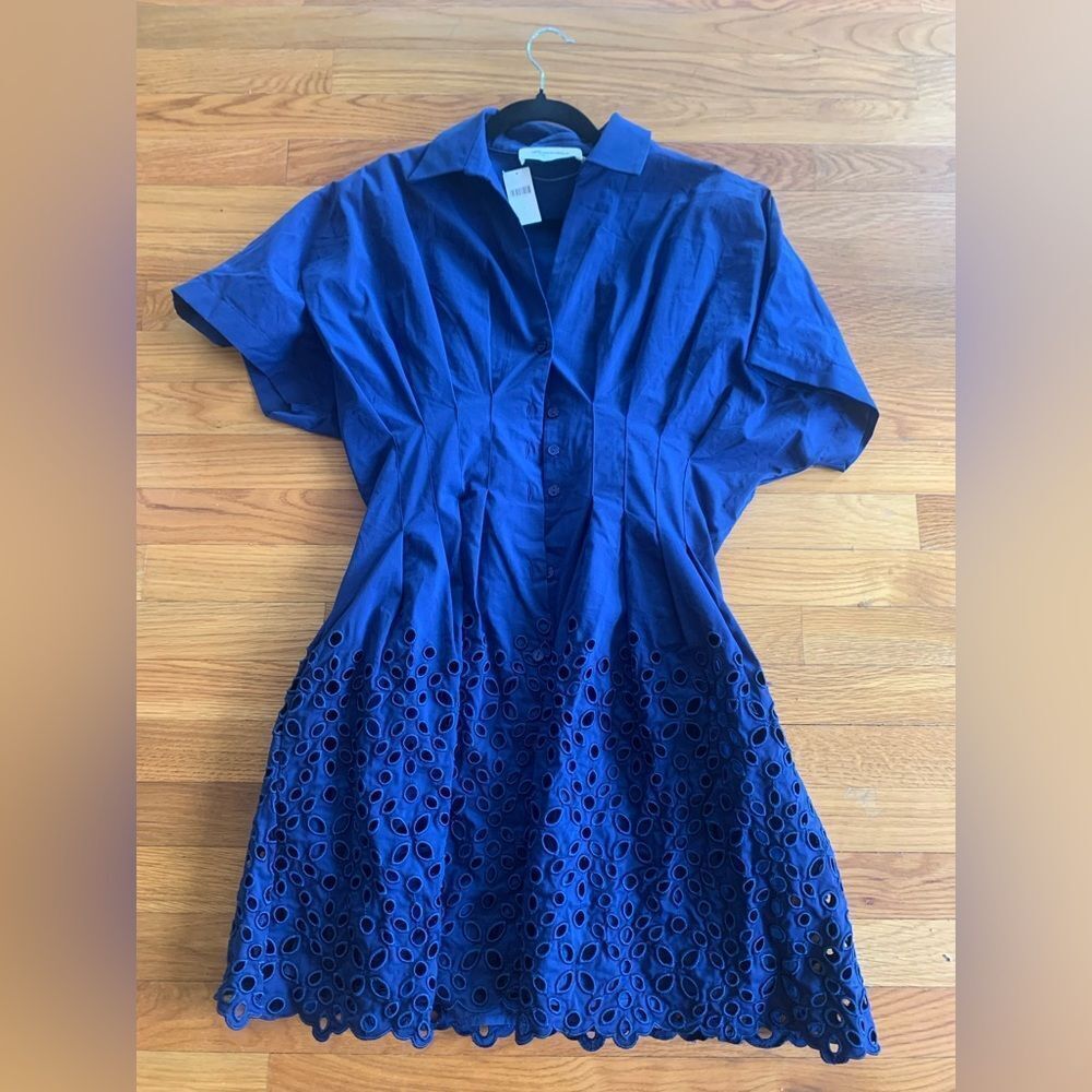 Anthropologie The Tobie Button-Front Pleated Mini Shirt Dress by Exquise - Picture 5 of 6
